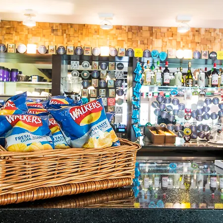 Safestay London Kensington Holland Park (Adults Only)-3